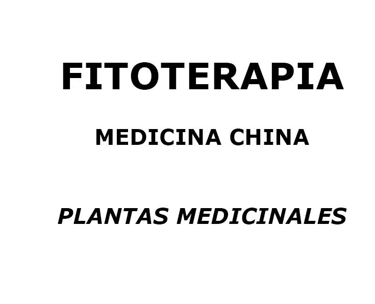 [ftitoterapia+medicina+china.JPG]