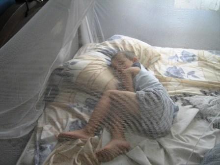 [Noah+napping+under+mosquito+net.JPG]