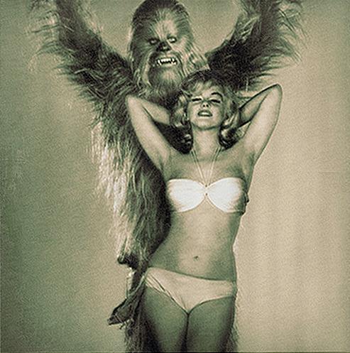 [Chewbacca+&+Marilyn+Monroe.jpg]