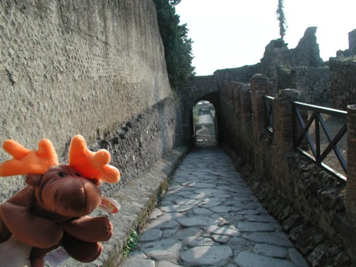 [moose+at+pompeii+entrance.jpg]