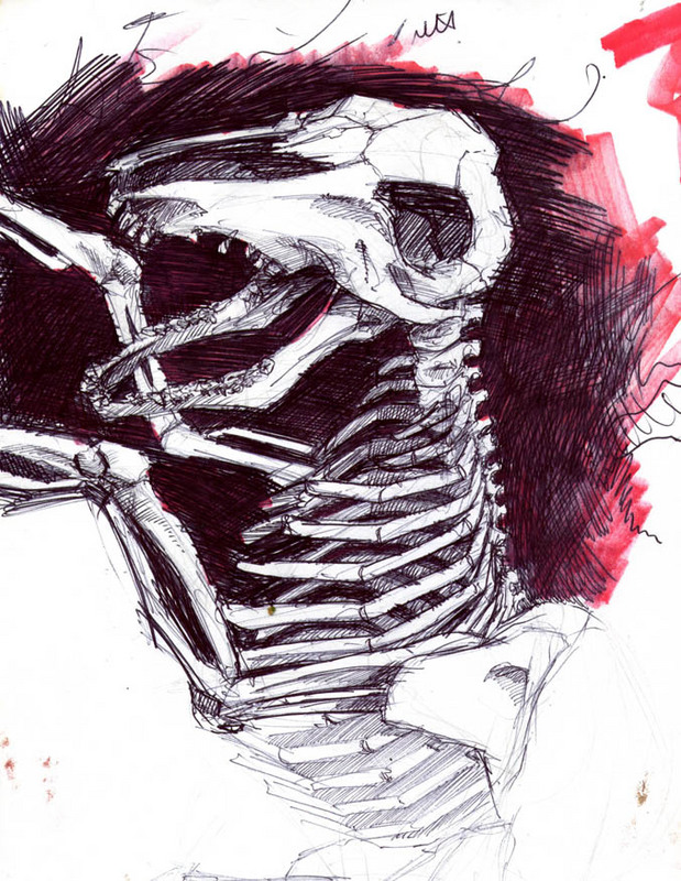 [skeleton.jpg]
