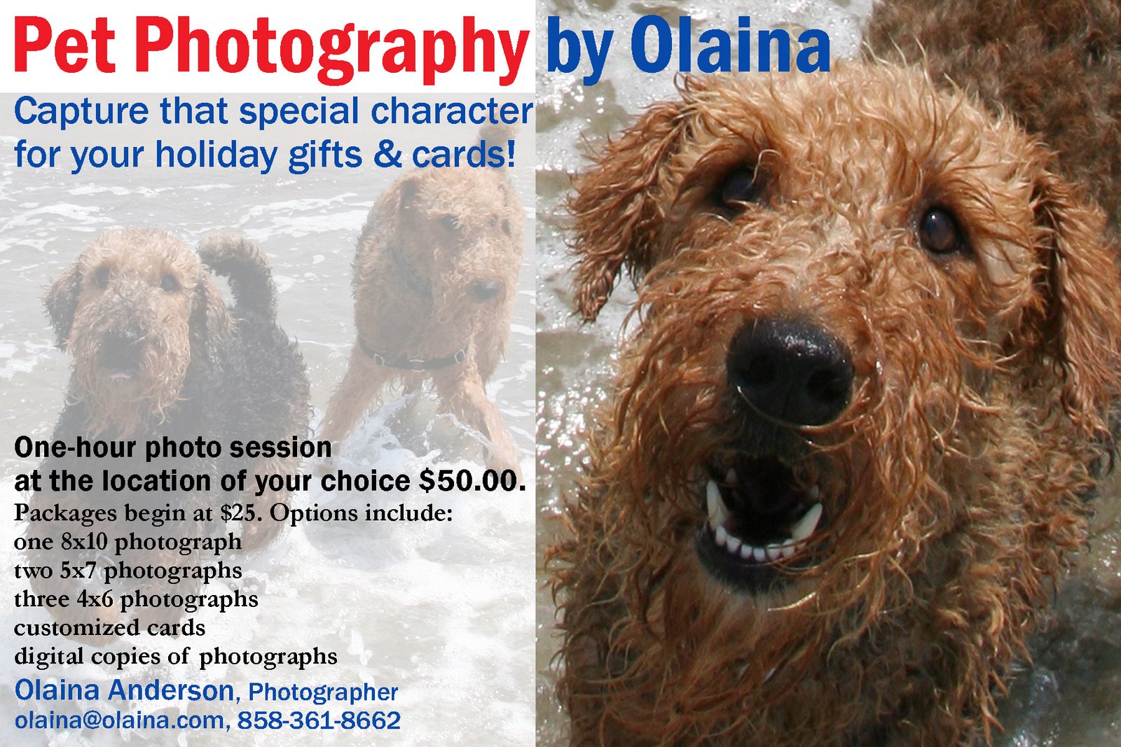 [Pet+Photography+Business+Card+copy.jpg]