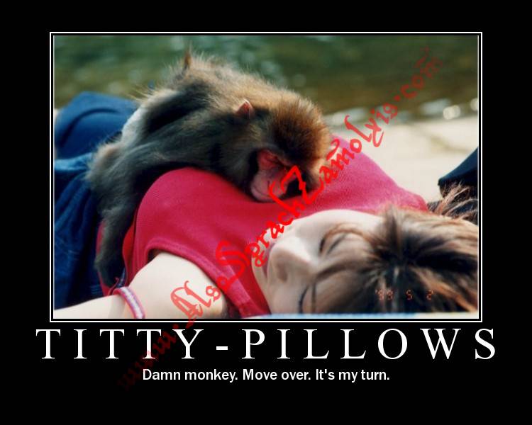 [titty-pillows.jpg]