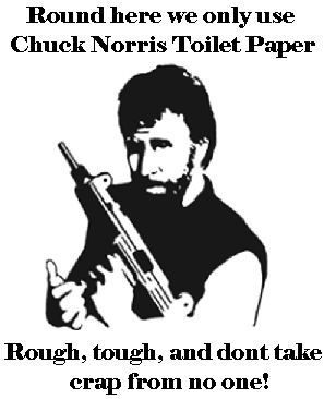 [chuck_norris.png]