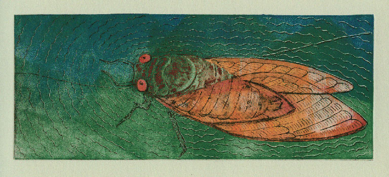 [cicada-etching.jpg]