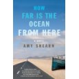 How far IS the ocean from here?