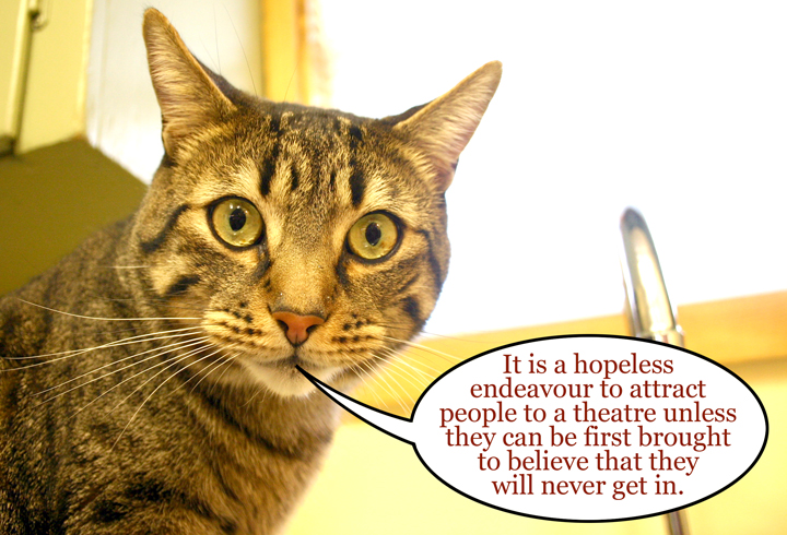 [theatre+cat+1.jpg]