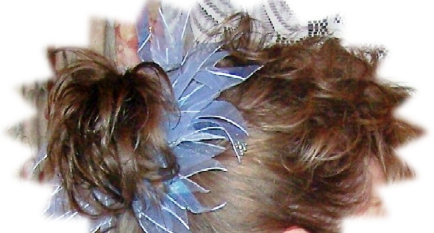 [hair+orn.JPG]
