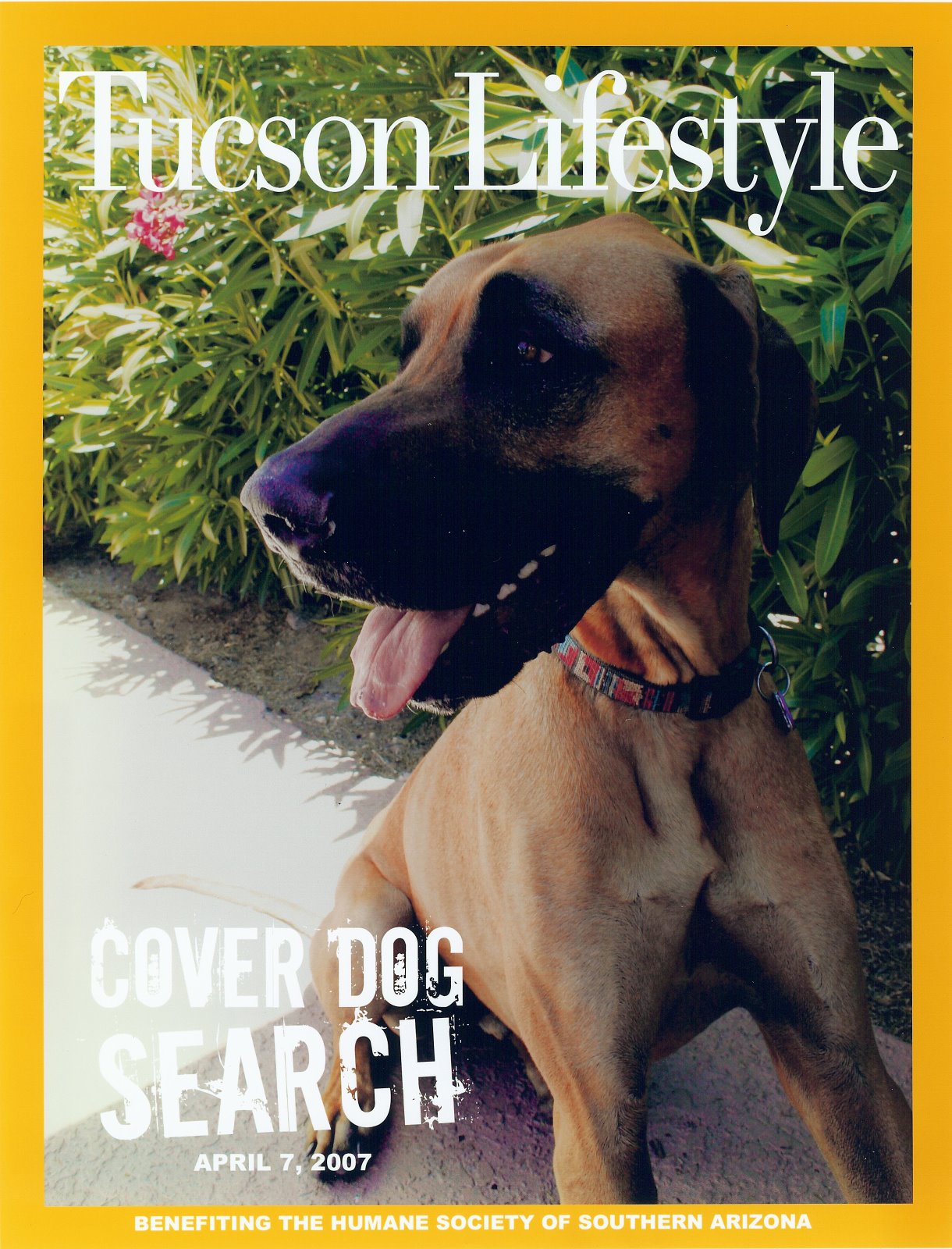 [Dukie+Tucson+Lifestyle+Magazine.jpg]