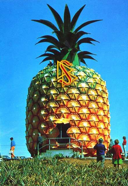 [big+pineapple.jpg]