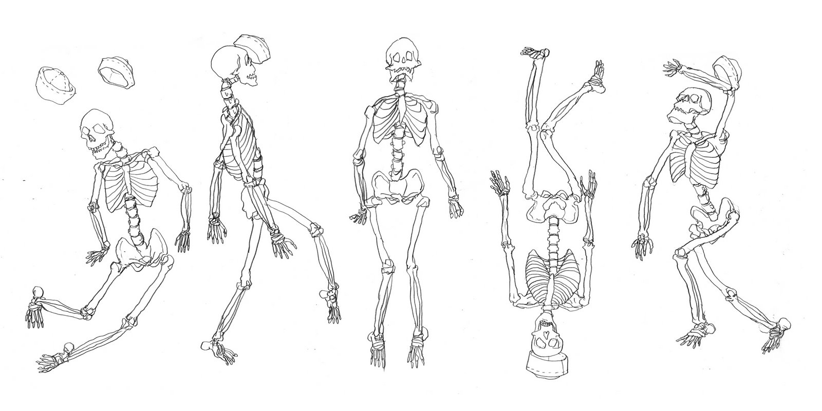 [skeletons.jpg]