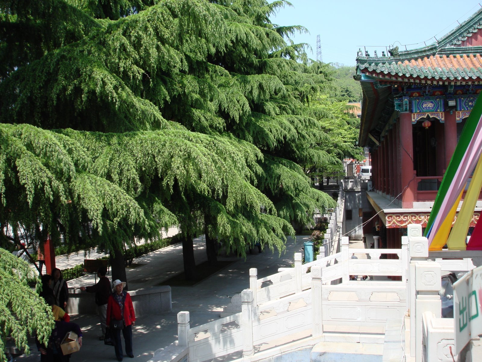 [Qingdao+2008+Zhanshan+Buddhist+Temple_28.jpg]
