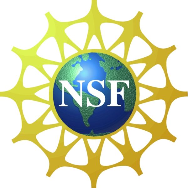[600px-NSF_Logo.jpg]
