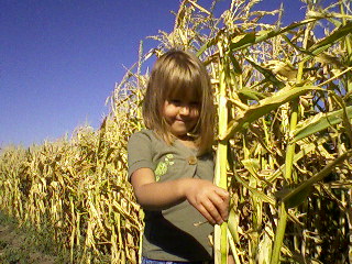 [children+of+the+corn.jpg]