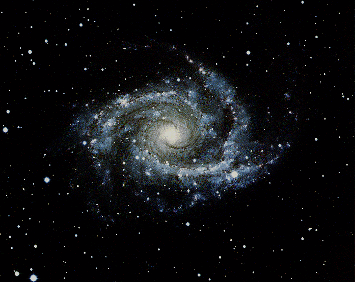 [NGC2997.GIF]