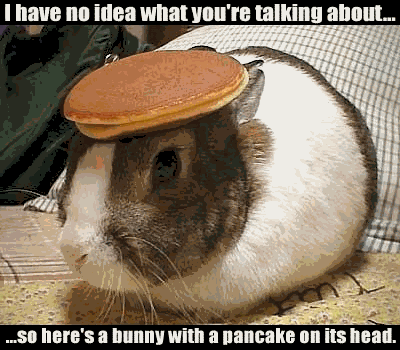 [bunny-pancake.gif]