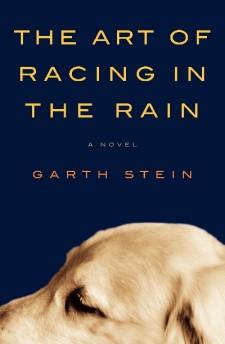 [racing+in+the+rain.jpg]