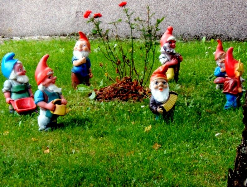 [792px-7_garden_gnomes.jpg]