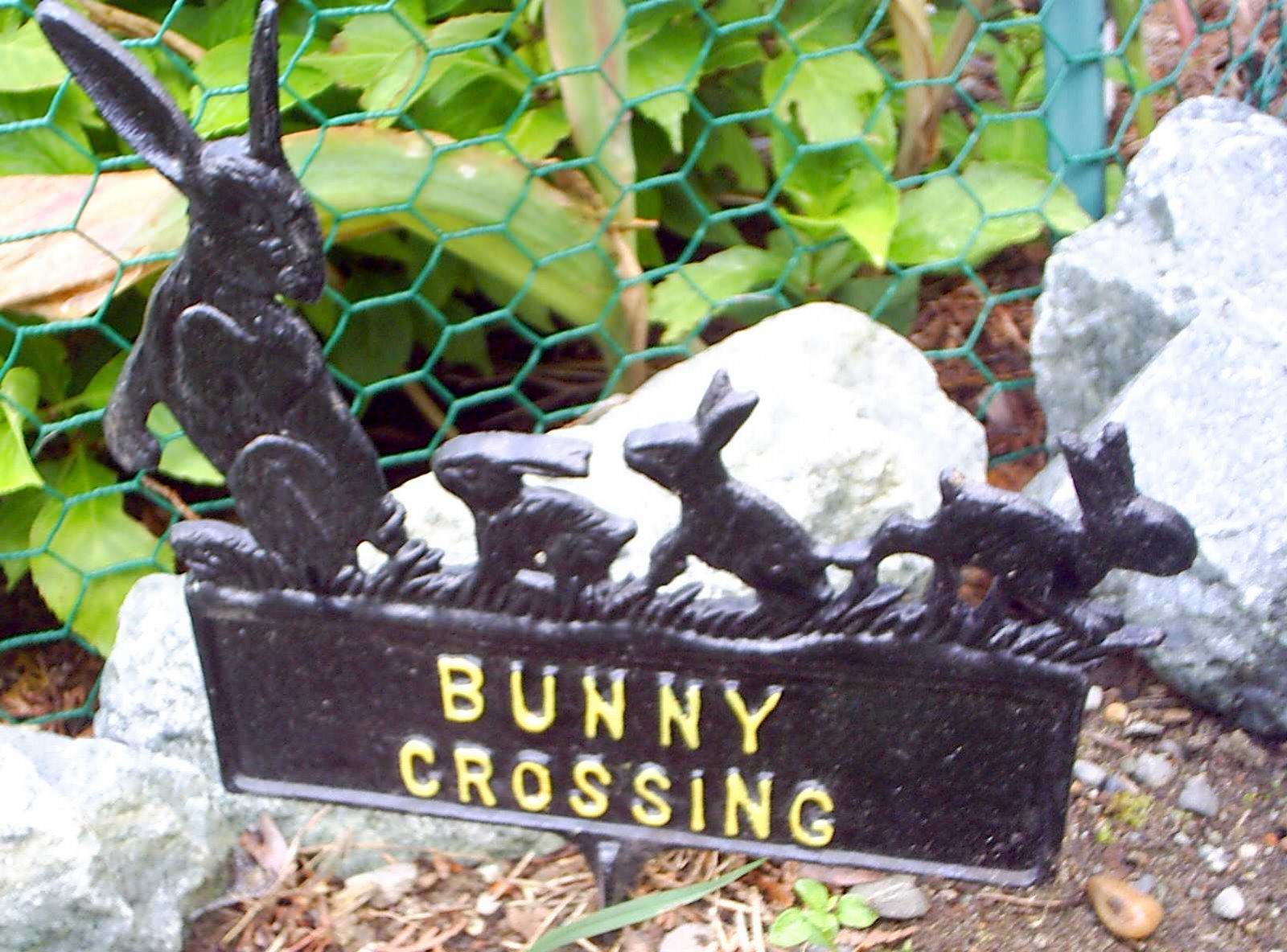 [bunny+crossing36.jpg]