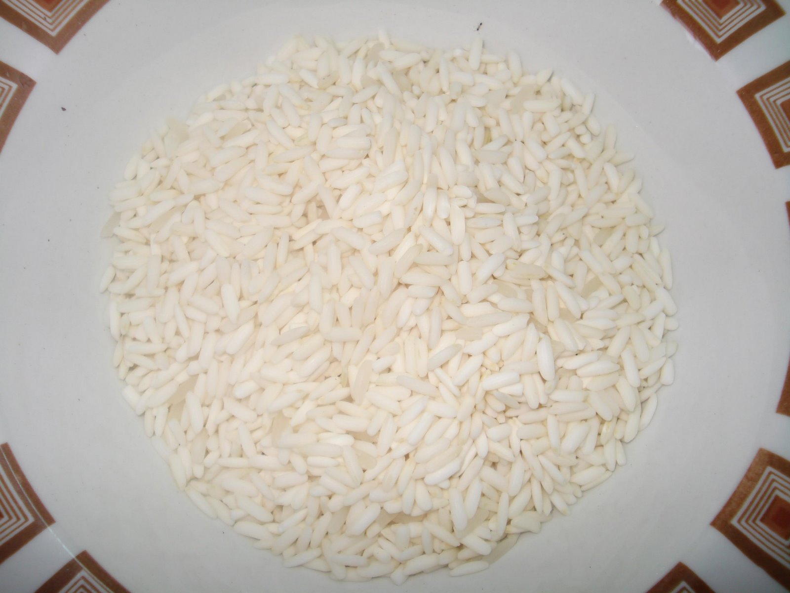 [glutinous+white+rice.JPG]