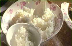 [rice.jpg]