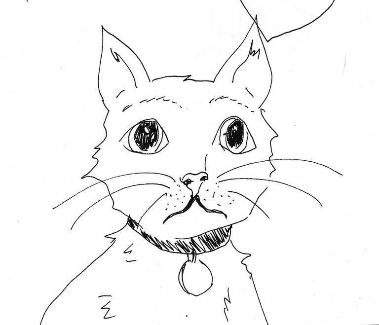 [sketchbook08.cat.jpg]