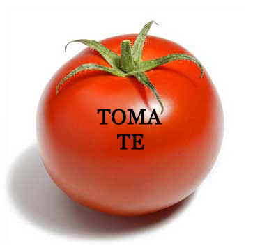 [tomate+copia.jpg]