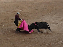 My First and Last BullFight - 2003