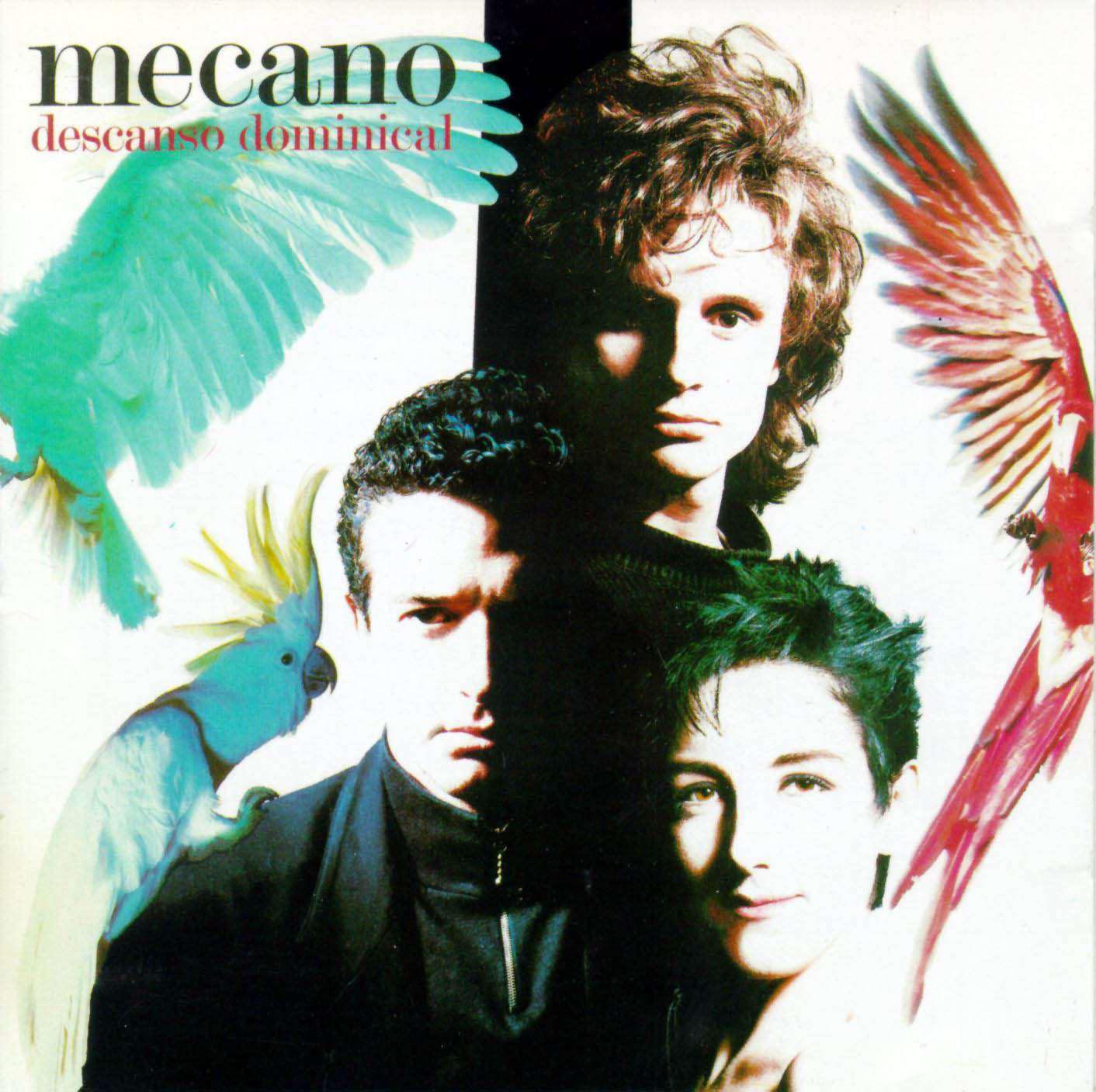 [Mecano-Descanso_Dominical-Frontal.jpg]