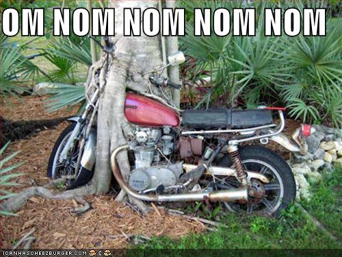 [funny-pictures-tree-eats-motorcycle.jpg]