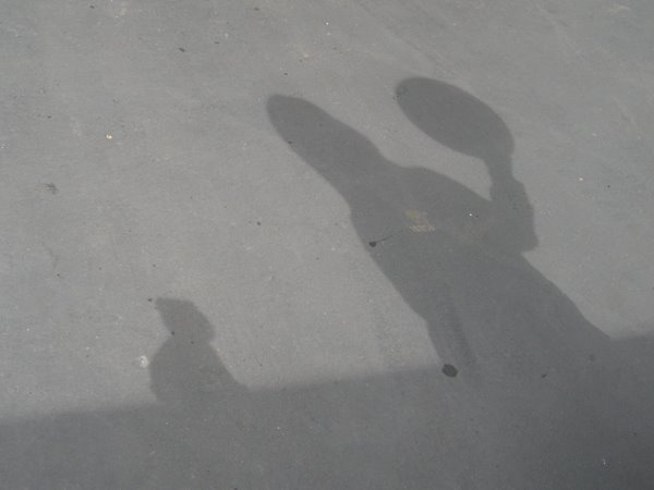 [shadows.jpg]