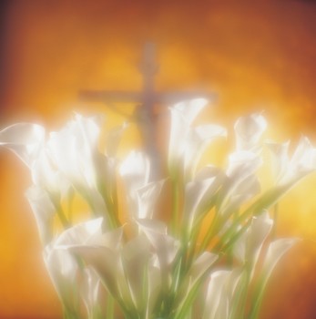 [cross+and+lilies.thb.jpg]