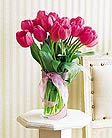 [pink+tulips.jpg]