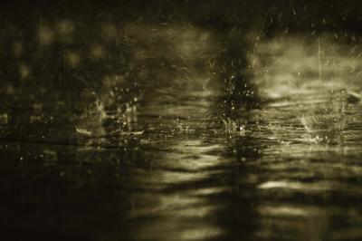 [llueve+sobre+mojado.jpg]