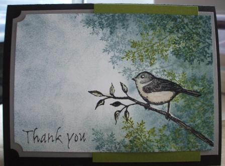[bird+thank+you+comp.JPG]