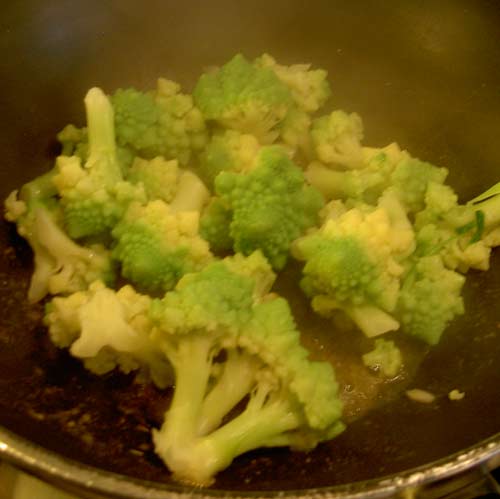 [broccoli4.jpg]