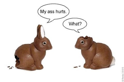 [Bunny+Cartoon.jpeg]