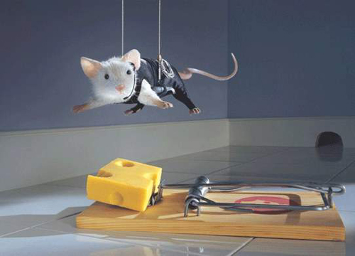 [mouse-mission-impossible.jpg]