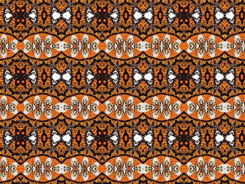 [monarch-butterfly+kaleidoscoop+2+rand+patroon.jpg]