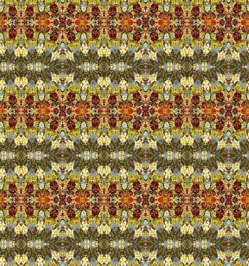 [Bouquet+1+kaleidoscoop+4+rand+patroon.jpg]