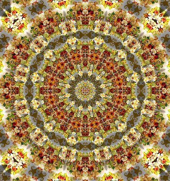 [Bouquet+1+kaleidoscoop+4.jpg]