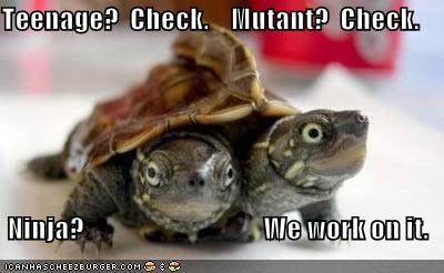[funny-pictures-tmnt-turtles.jpg]