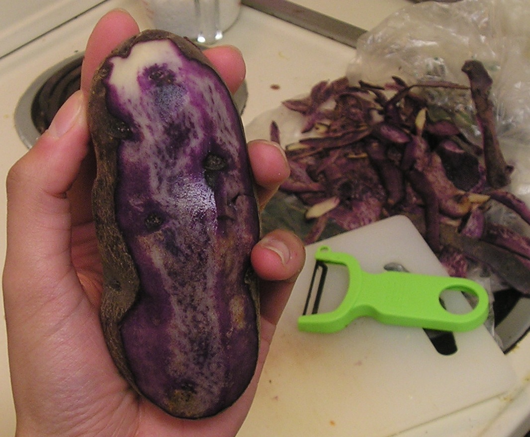 [purple+potato.JPG]