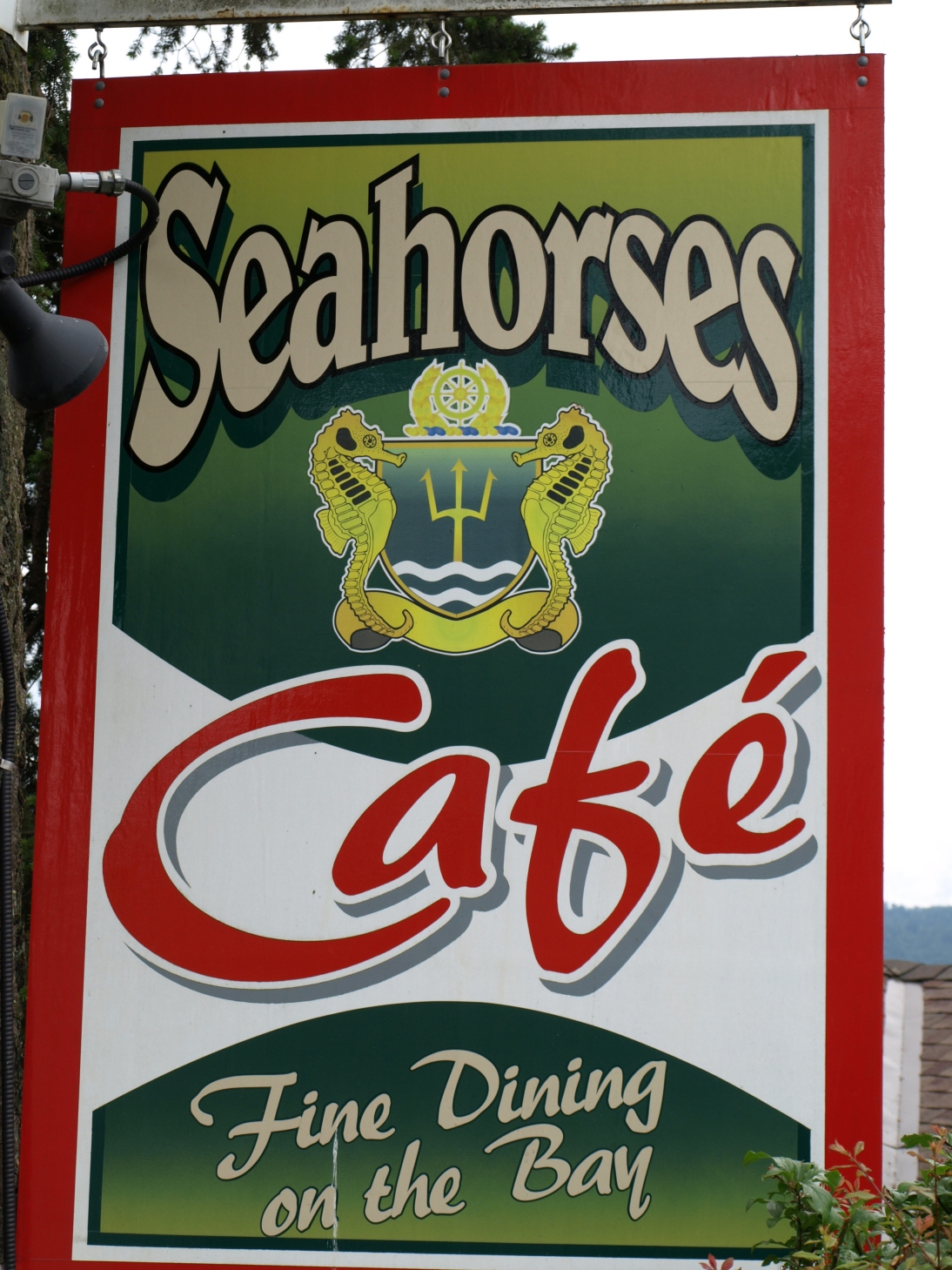 [SeahorseCafe.jpg]