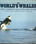 [World's+Whales.jpg]