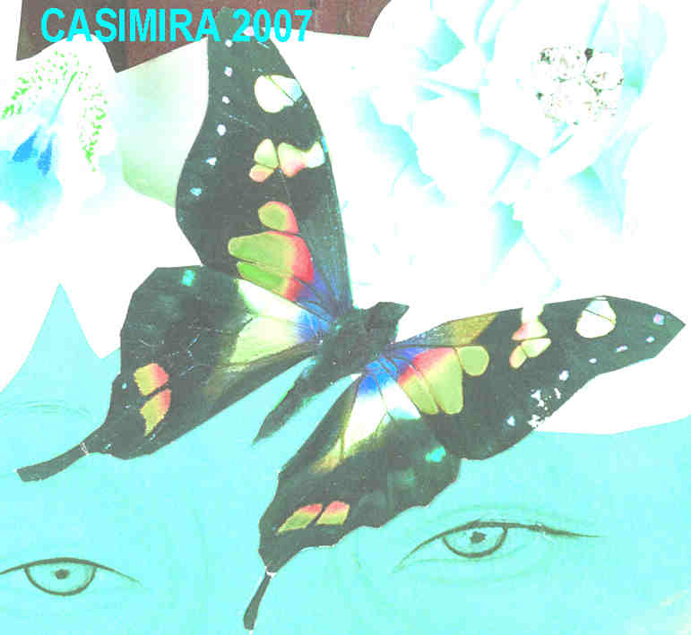 [CASIMIRA+shaman+butterfly.jpg]