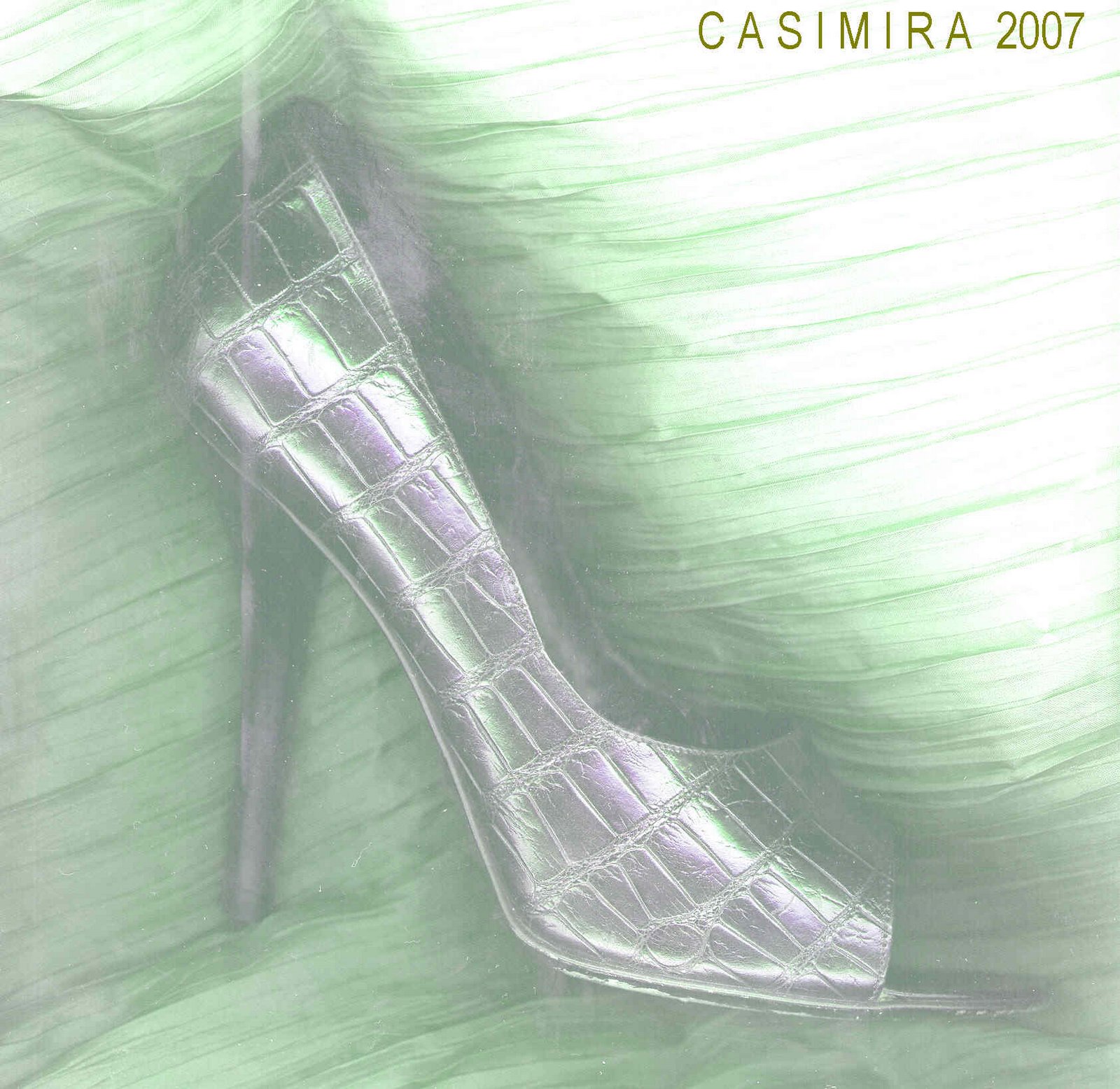 [shoe+CASIMIRA.jpg]