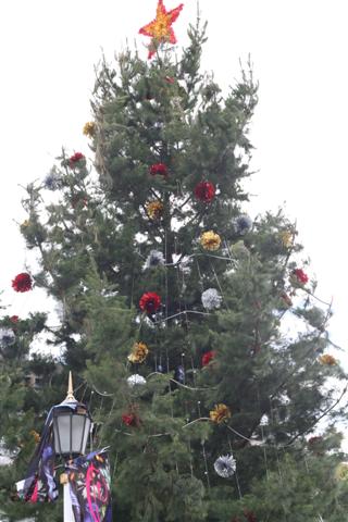 [Christmas+tree+square+small.jpg]