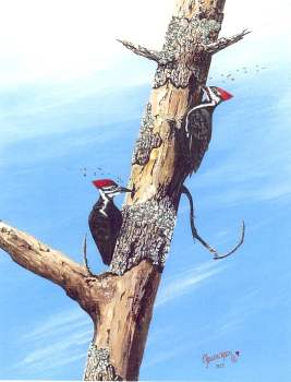 [woodpeckers.JPG]