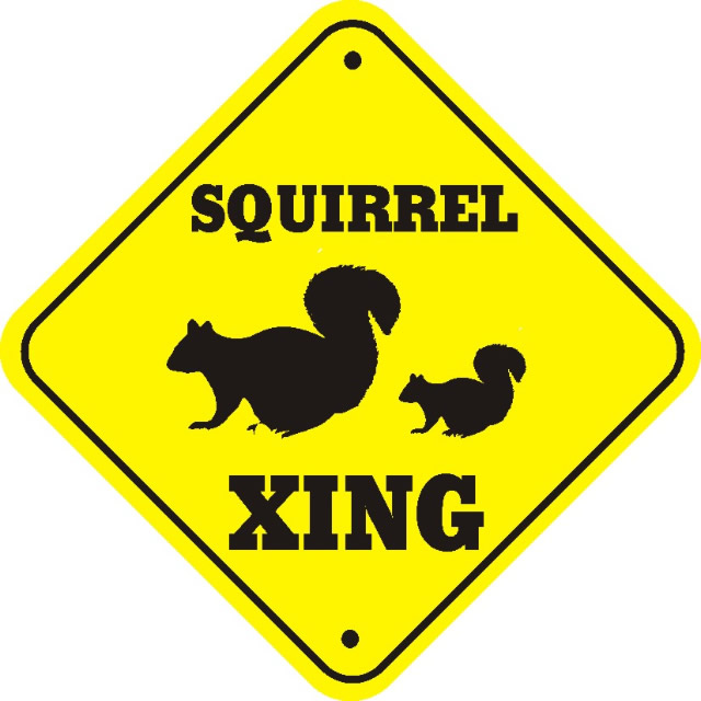 [Squirrel_xing_thumb_640.jpg]